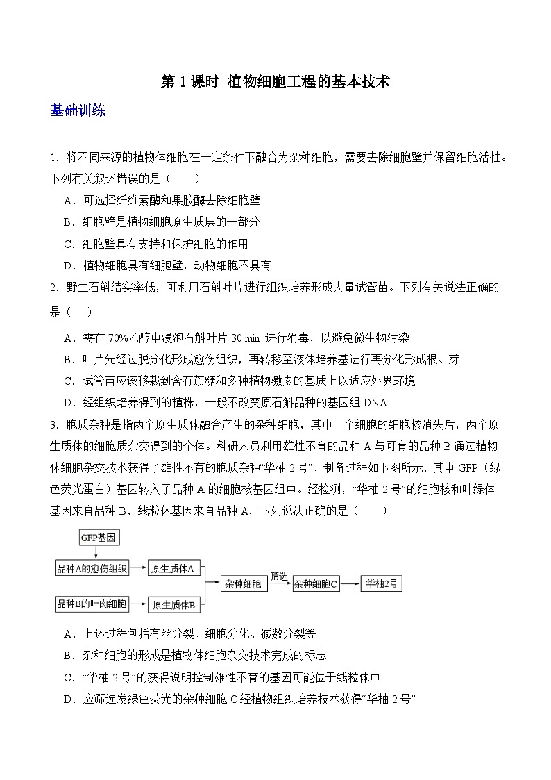 人教版高中生物选择性必修三2.1《植物细胞工程》（第1课时）分层作业（原卷版）第1页