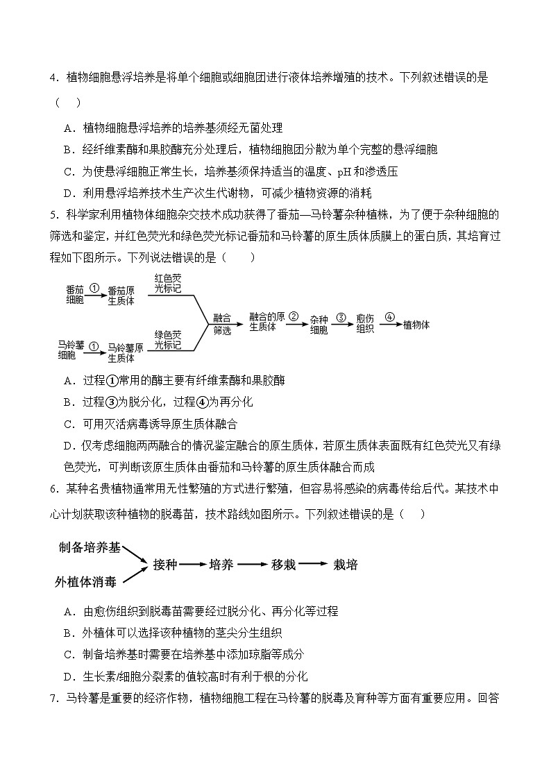 人教版高中生物选择性必修三2.1《植物细胞工程》（第1课时）分层作业（原卷版）第2页