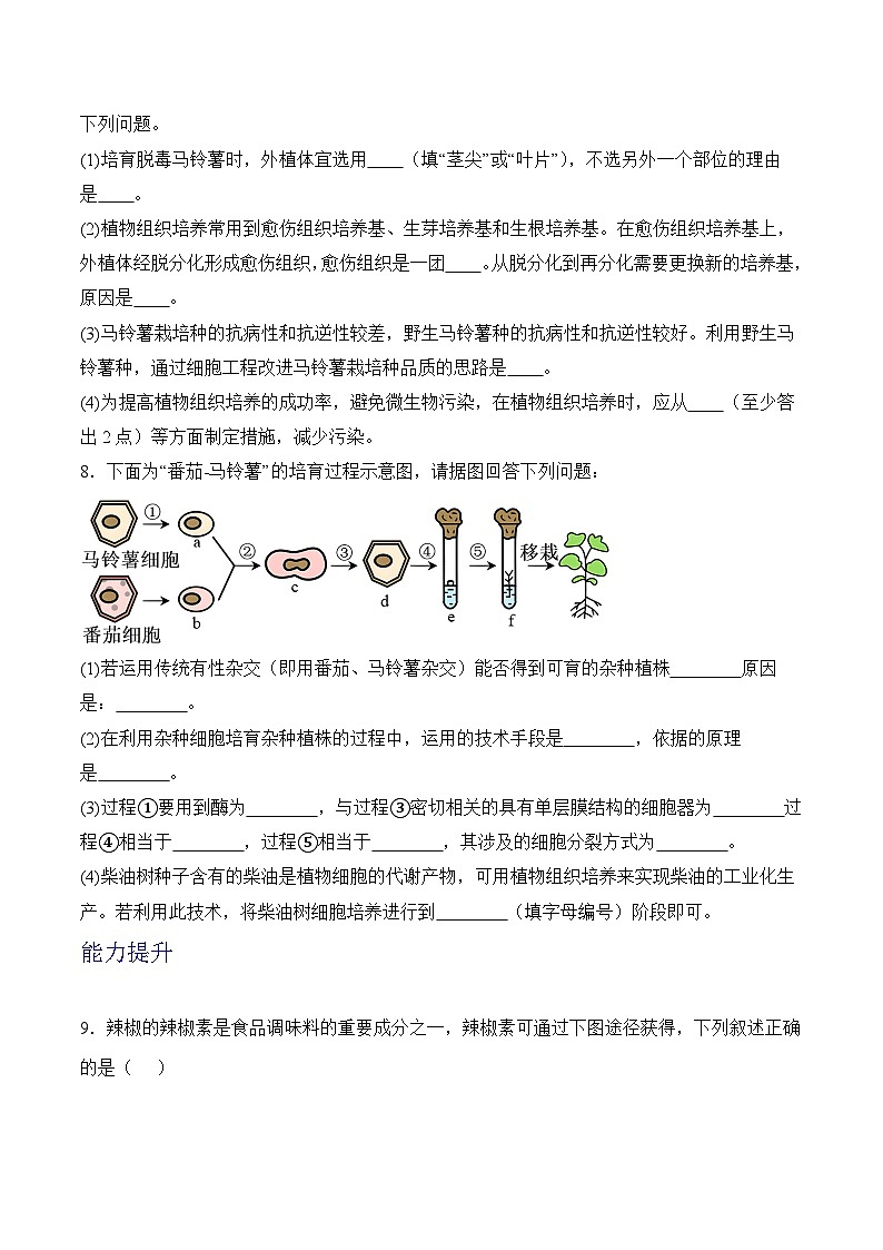 人教版高中生物选择性必修三2.1《植物细胞工程》（第1课时）分层作业（原卷版）第3页