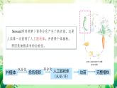 人教版高中生物選擇性必修三2.1《植物細(xì)胞工程》（第1課時(shí)）課件+教案+分層練習(xí)+導(dǎo)學(xué)案