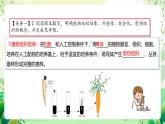 人教版高中生物選擇性必修三2.1《植物細(xì)胞工程》（第1課時(shí)）課件+教案+分層練習(xí)+導(dǎo)學(xué)案