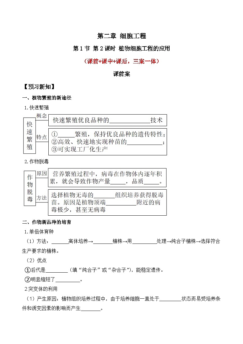 人教版高中生物选择性必修三2.1《植物细胞工程》（第2课时）分层作业（原卷版）第1页