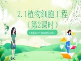 人教版高中生物选择性必修三2.1《植物细胞工程》（第2课时）课件+教案+分层练习+导学案