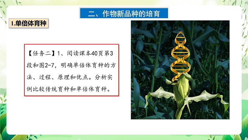 人教版高中生物选择性必修三2.1《植物细胞工程》（第2课时）（教学课件）第8页