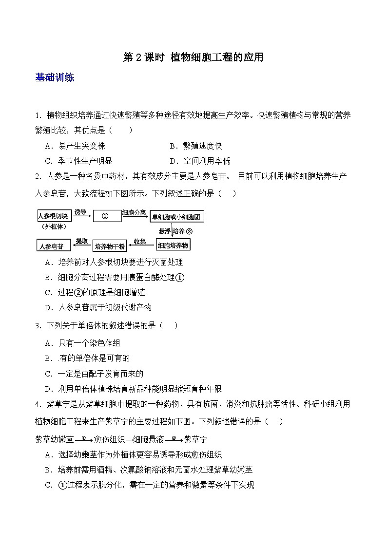 人教版高中生物选择性必修三2.1《植物细胞工程》（第2课时）导学案（原卷版）第1页