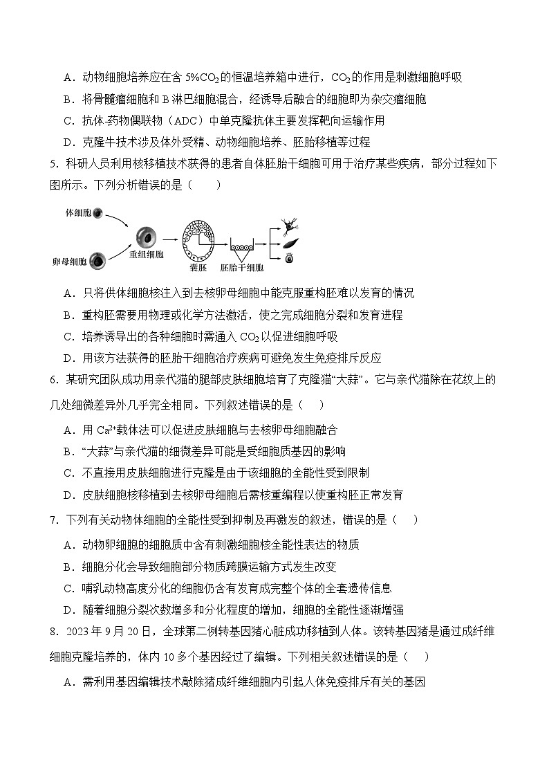 人教版高中生物选择性必修三2.2《动物细胞培养》（第3课时）分层练习（原卷版）第2页