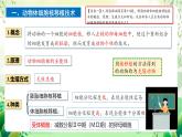 人教版高中生物選擇性必修三2.2《動物細胞培養(yǎng)》（第3課時）課件+教案+分層練習(xí)+導(dǎo)學(xué)案