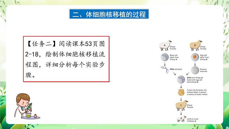 人教版高中生物选择性必修三2.2《动物细胞培养》（第3课时）（教学课件）第7页