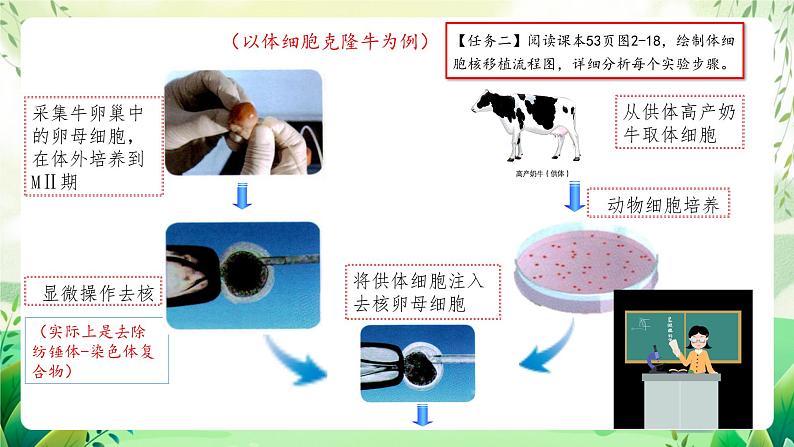 人教版高中生物选择性必修三2.2《动物细胞培养》（第3课时）（教学课件）第8页