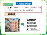 人教版高中生物選擇性必修三2.2《動物細胞工程》（第1課時）課件+教案+分層練習(xí)+導(dǎo)學(xué)案