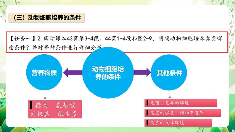 人教版高中生物选择性必修三2.2《动物细胞工程》（第1课时）（教学课件）第7页