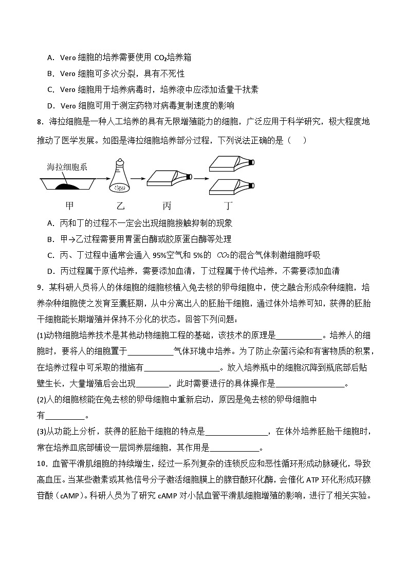 人教版高中生物选择性必修三2.2《动物细胞工程》（第1课时）导学案（原卷版）第3页