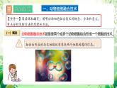 人教版高中生物选择性必修三2.2《动物细胞工程》（第2课时）课件+教案+分层练习+导学案