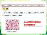人教版高中生物选择性必修三2.2《动物细胞工程》（第2课时）课件+教案+分层练习+导学案