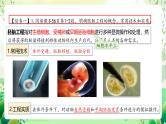 人教版高中生物选择性必修三2.3《胚胎工程》（第1课时）课件+教案+分层练习+导学案