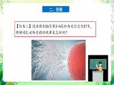 人教版高中生物选择性必修三2.3《胚胎工程》（第1课时）课件+教案+分层练习+导学案