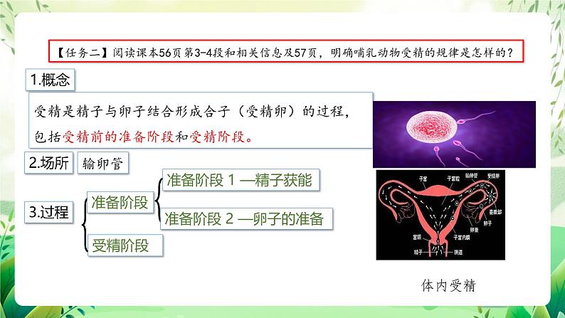 人教版高中生物选择性必修三2.3《胚胎工程》（第1课时）（教学课件）第6页