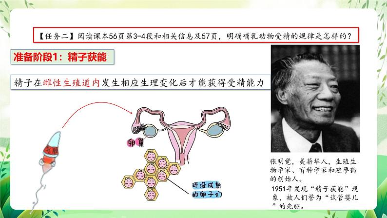 人教版高中生物选择性必修三2.3《胚胎工程》（第1课时）（教学课件）第8页