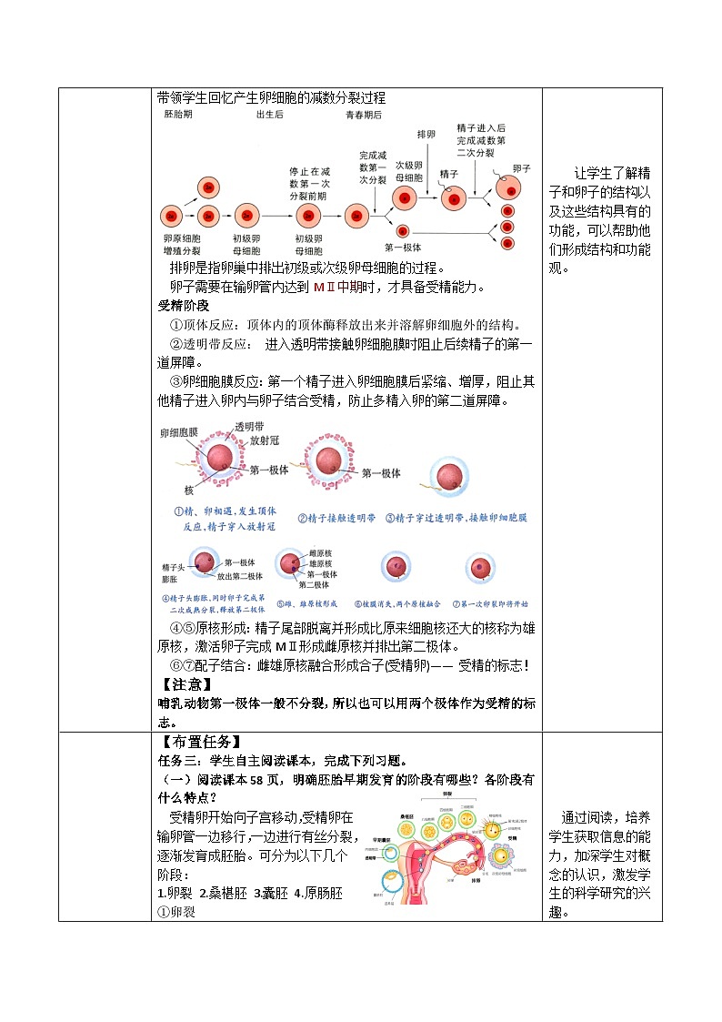 人教版高中生物选择性必修三2.3《胚胎工程》（教学设计）第3页