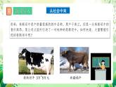 人教版高中生物選擇性必修三2.3《胚胎工程》（第2課時(shí)）課件+教案+分層練習(xí)+導(dǎo)學(xué)案