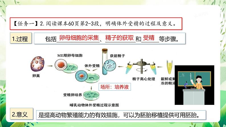 人教版高中生物选择性必修三2.3《胚胎工程》（第2课时）（教学课件）第5页