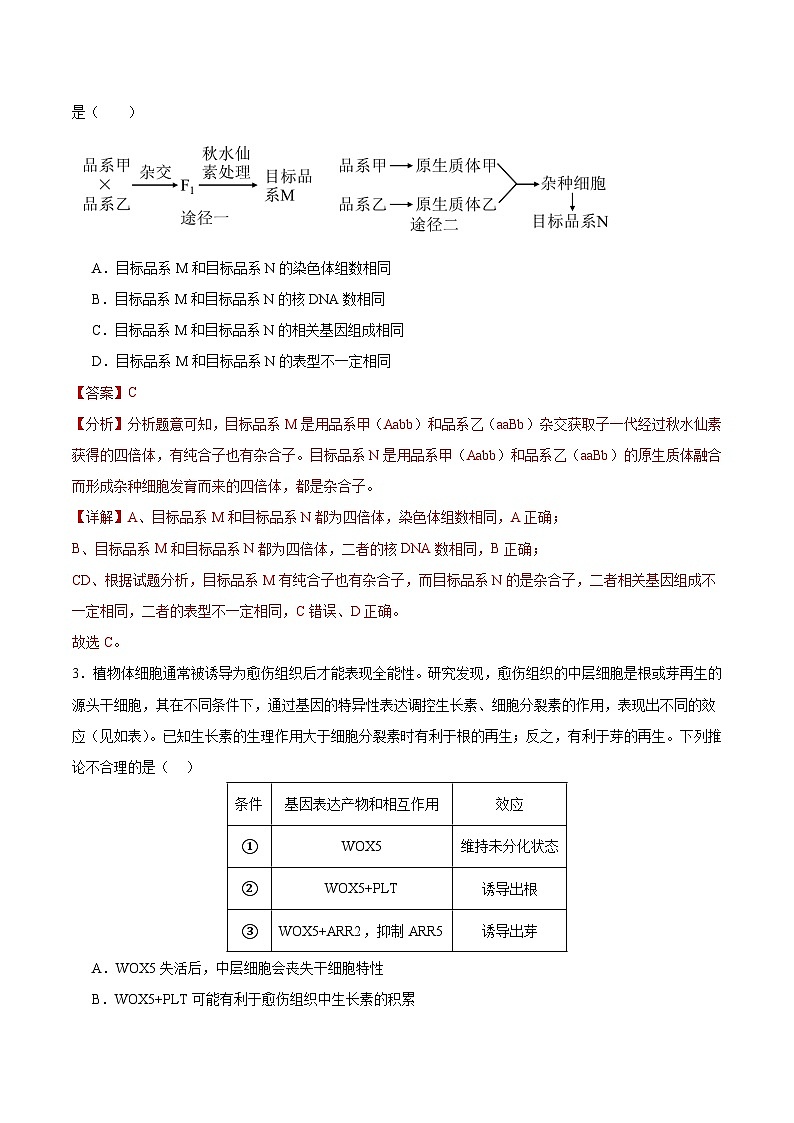 人教版高中生物选择性必修三第2章《细胞工程》（单元测试） （解析版）第2页