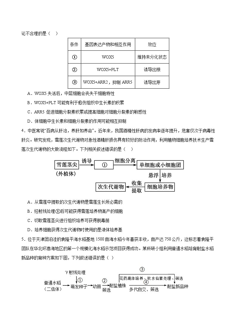 人教版高中生物选择性必修三第2章《细胞工程》（单元测试） （原卷版）第2页