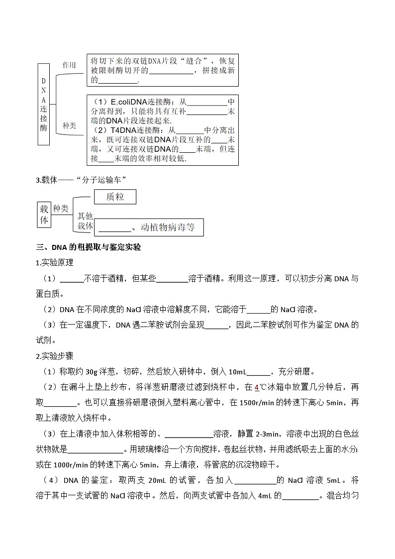 人教版高中生物选择性必修三3.1《重组DNA技术的基本工具》导学案（原卷版）第2页