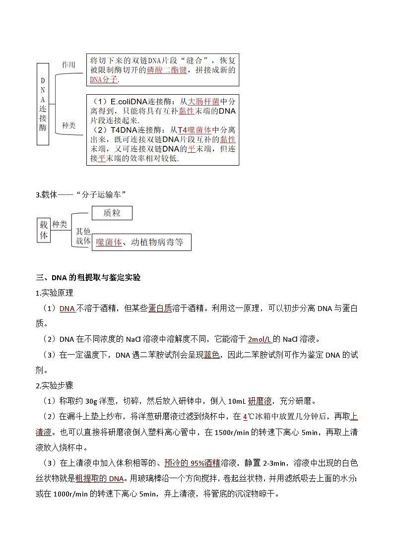 人教版高中生物选择性必修三3.1《重组DNA技术的基本工具》导学案（解析版）第2页