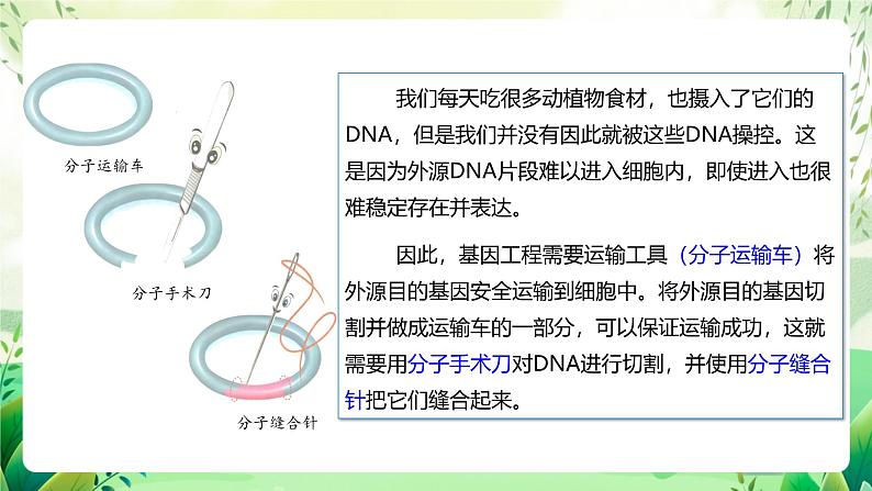 人教版高中生物选择性必修三3.1《重组DNA技术的基本工具》（教学课件）第3页