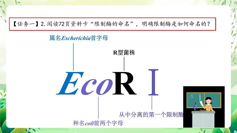 人教版高中生物选择性必修三3.1《重组DNA技术的基本工具》（教学课件）第6页