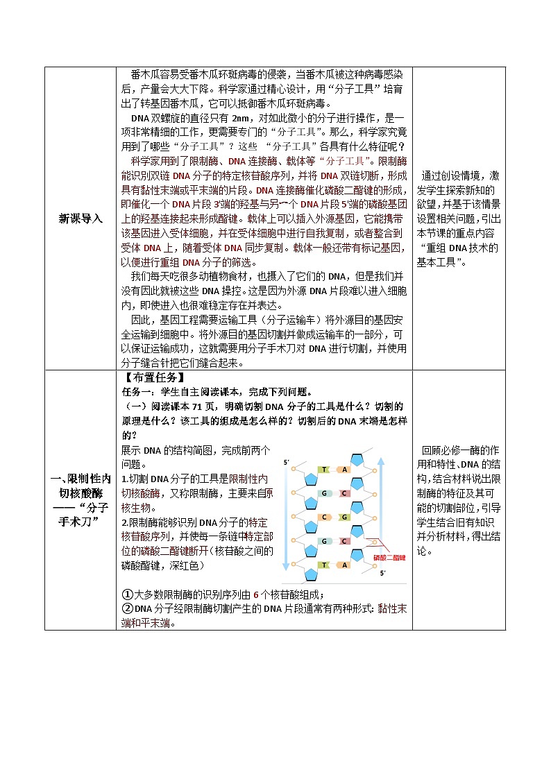 人教版高中生物选择性必修三3.1《重组DNA技术的基本工具》（教学设计）第2页