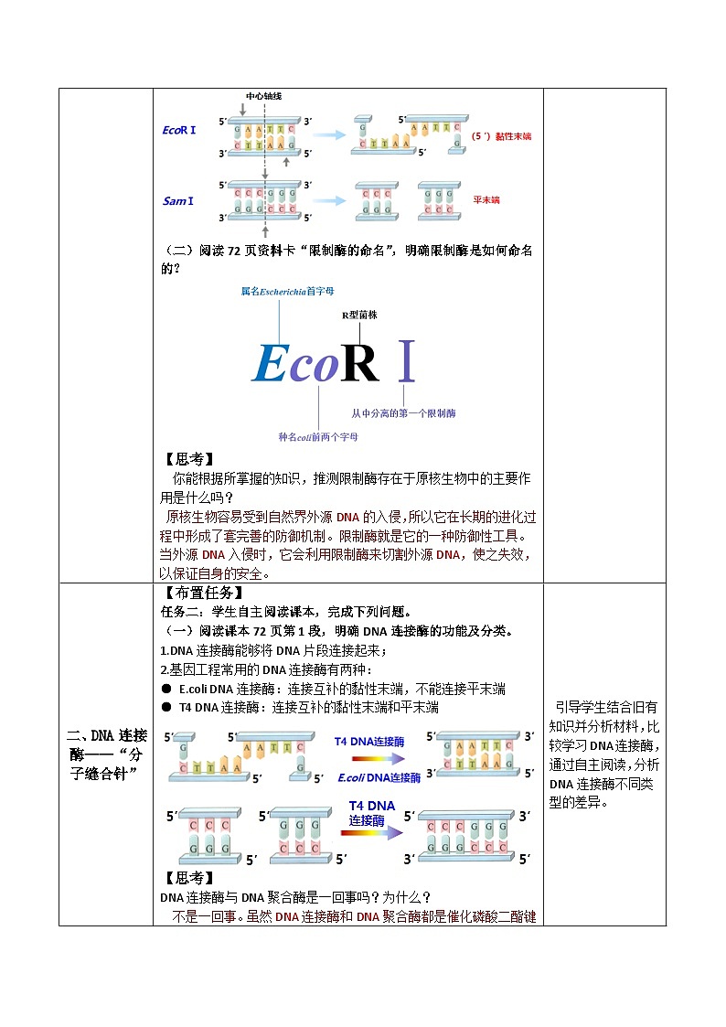 人教版高中生物选择性必修三3.1《重组DNA技术的基本工具》（教学设计）第3页