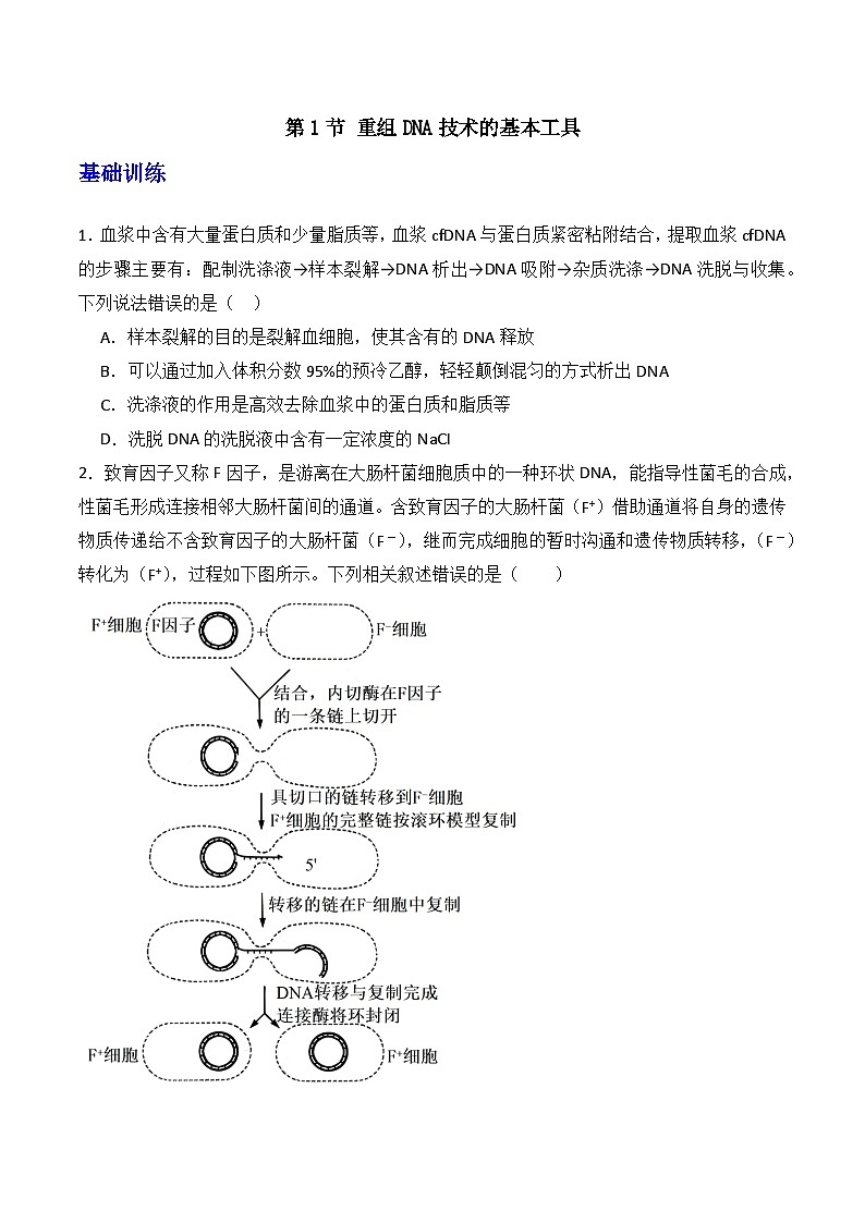 人教版高中生物选择性必修三3.1《重组DNA技术的基本工具》（分层作业）（原卷版）第1页