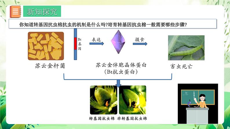 人教版高中生物选择性必修三3.2《基因工程的基本操作程序》（第1课时）（教学课件）第3页