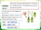 人教版高中生物選擇性必修三3.2《基因工程的基本操作程序》（第2課時(shí)）課件+教案+分層練習(xí)+導(dǎo)學(xué)案
