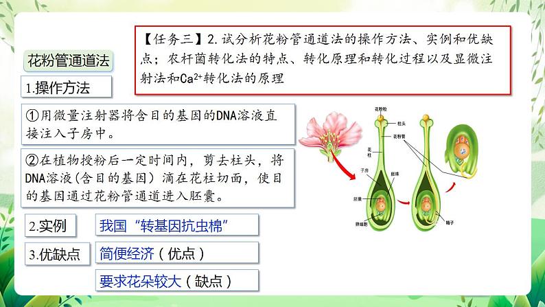 人教版高中生物选择性必修三3.2《基因工程的基本操作程序》（第2课时）（教学课件）第4页