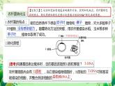 人教版高中生物選擇性必修三3.2《基因工程的基本操作程序》（第2課時(shí)）課件+教案+分層練習(xí)+導(dǎo)學(xué)案