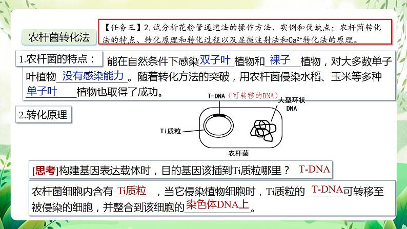 人教版高中生物选择性必修三3.2《基因工程的基本操作程序》（第2课时）（教学课件）第5页