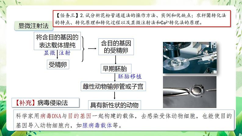 人教版高中生物选择性必修三3.2《基因工程的基本操作程序》（第2课时）（教学课件）第7页