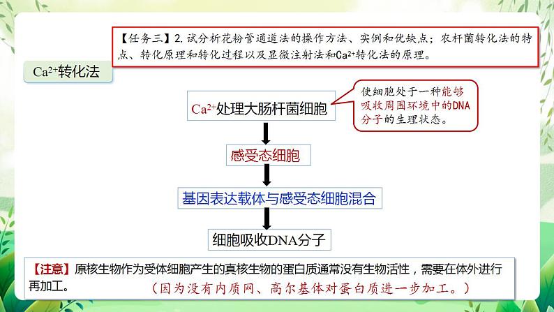 人教版高中生物选择性必修三3.2《基因工程的基本操作程序》（第2课时）（教学课件）第8页