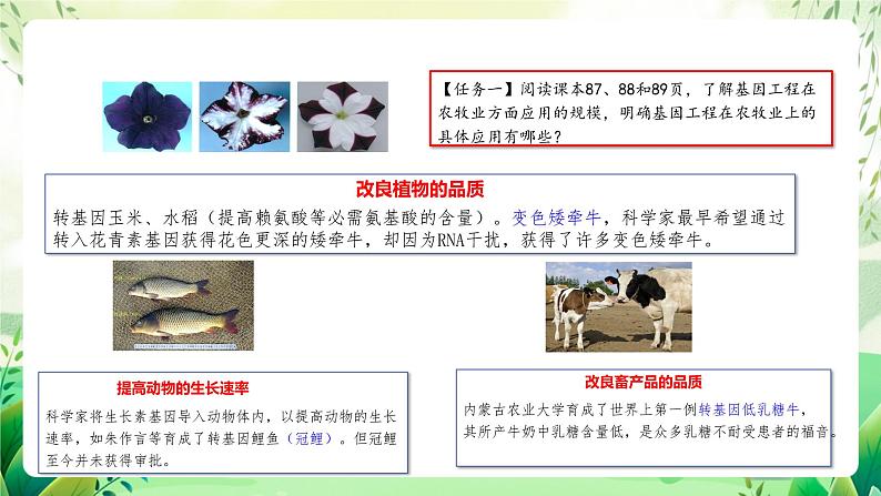 人教版高中生物选择性必修三3.3《基因工程的应用》（教学课件）第5页