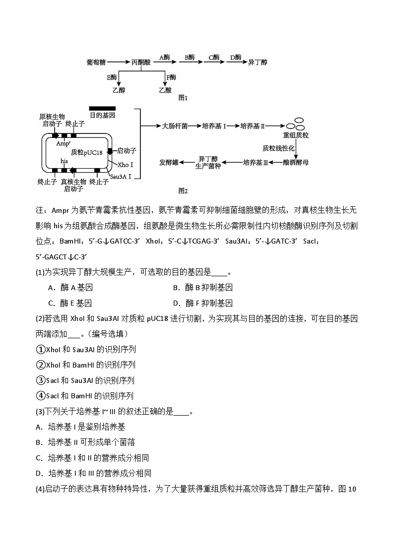 人教版高中生物选择性必修三3.3《基因工程的应用》（分层作业）（原卷版）第3页