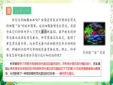 人教版高中生物選擇性必修三3.4《蛋白質(zhì)工程的原理和應(yīng)用》課件+教案+分層練習(xí)+導(dǎo)學(xué)案