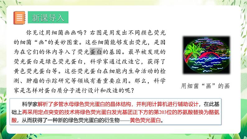 人教版高中生物选择性必修三3.4《蛋白质工程的原理和应用》（教学课件）第2页