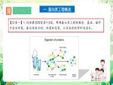人教版高中生物選擇性必修三3.4《蛋白質(zhì)工程的原理和應(yīng)用》課件+教案+分層練習(xí)+導(dǎo)學(xué)案