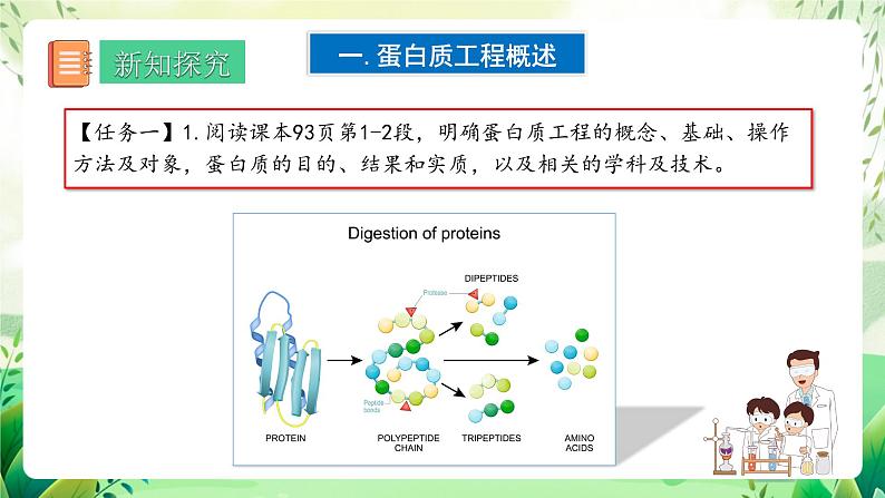 人教版高中生物选择性必修三3.4《蛋白质工程的原理和应用》（教学课件）第3页