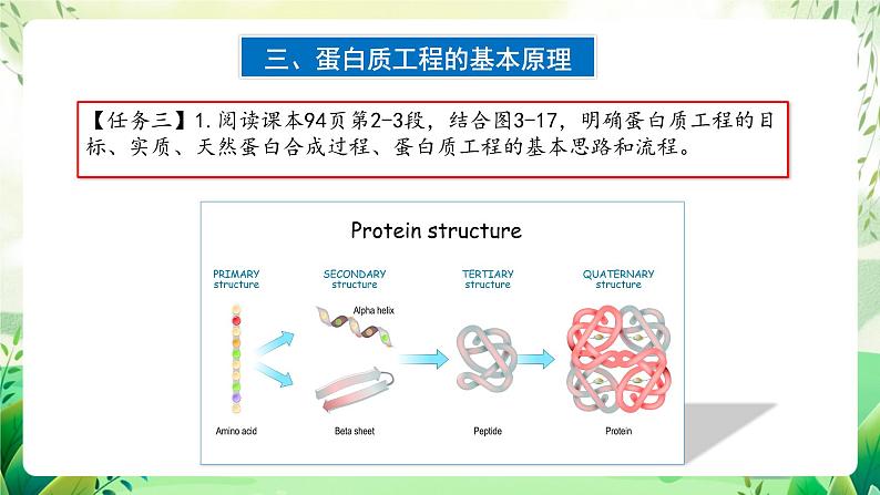 人教版高中生物选择性必修三3.4《蛋白质工程的原理和应用》（教学课件）第8页