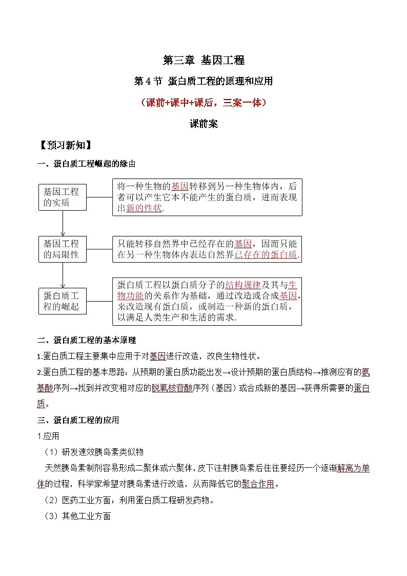 人教版高中生物选择性必修三3.4《蛋白质工程的原理和应用》导学案（解析版）第1页
