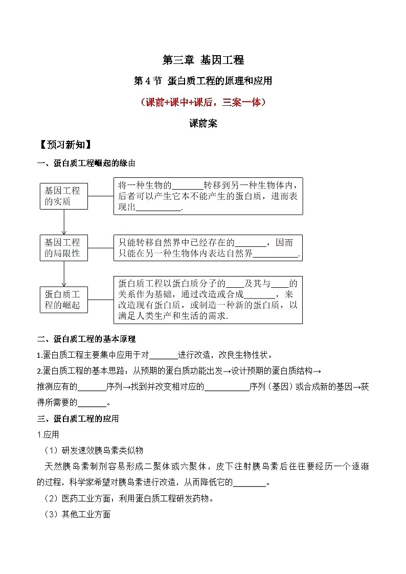 人教版高中生物选择性必修三3.4《蛋白质工程的原理和应用》导学案（原卷版）第1页